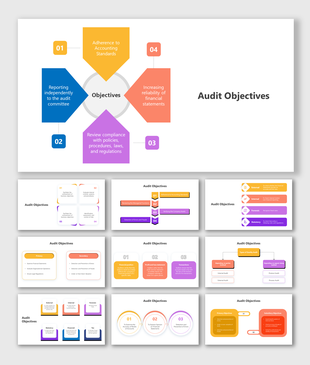 Audit Objectives slides with colorful flowcharts, circular and rectangular infographic layouts, and icons for types.