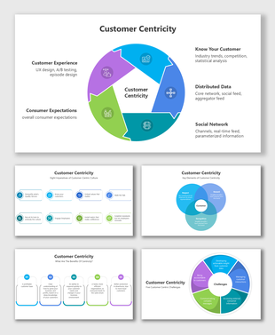 Diagrams showing key concepts of customer centricity with circular graphs and icons illustrating strategies and challenges.