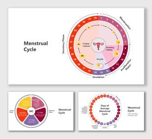 Alt: Menstrual Cycle cover slide with 28-day circular phase diagram and central uterus icon in red and pink layout.