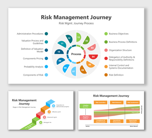 Risk Management Journey visual with color-coded stages, covering process, business objectives, and risk definitions.