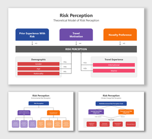 Risk Perception slides with colored flowcharts, text boxes showing demographics, travel, and psychological factors.