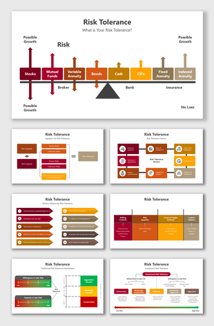 Risk Tolerance chart showing investment categories from stocks to insurance, with risk levels and influencing factors.