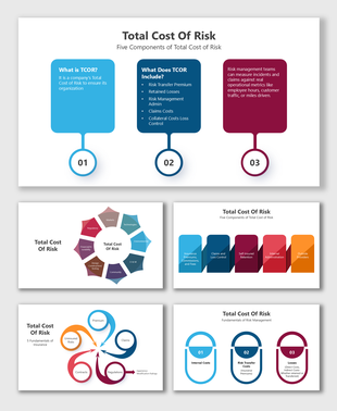 Total cost of risk slides with blocks and charts explaining TCOR, insurance, losses, admin costs, and key risk factors.
