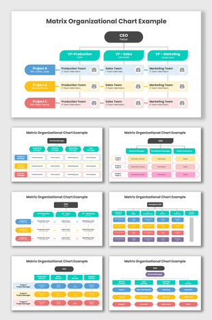 Matrix Organizational Chart Example with colorful boxes, CEO, VPs, team hierarchy, project divisions, and editable layouts.