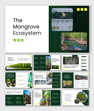 Educational slides on The Mangrove Ecosystem with green visuals, coastal forests, biodiversity topics, and clean layouts.