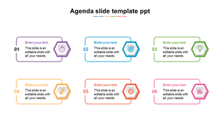 Colorful agenda slide with six hexagon shaped icons and text boxes for presentation topics.