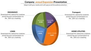 Pie chart slide showing company expansion with categories like insurance, transport, loan, children, and home utilities.