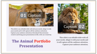 Animal portfolio PowerPoint template featuring two lion images with captions and text sections.