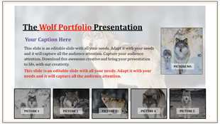 Slide layout includes a main wolf image, five smaller rectangular images below, and text sections on a light background.