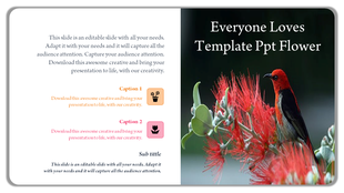 Slide showcasing a vibrant red bird perched on striking red flowers alongside content sections.