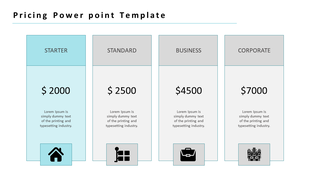 Pricing slide with four blocks showing service levels, price points, and icons, with the Starter plan highlighted in blue.