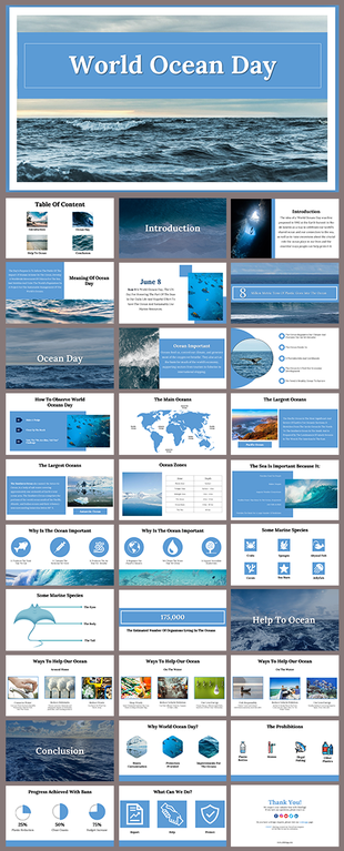 World Ocean day slides discussing ocean importance, marine species, and conservation efforts.