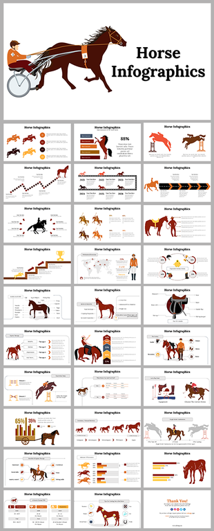 Horse themed infographic slides showing different data visualization with related topics and statistics with icons and text.