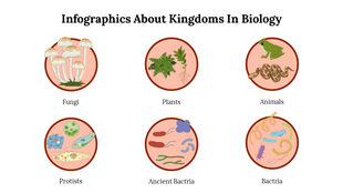 Infographics showing six biological kingdoms with images of fungi, plants, animals, protists, ancient bacteria, and bacteria.