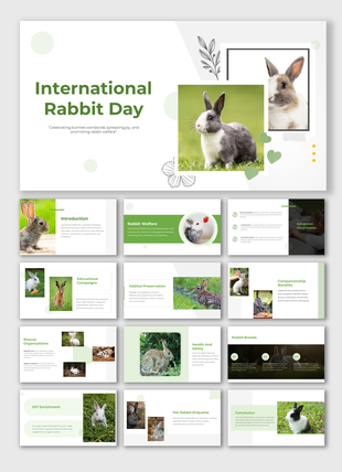 International Rabbit Day slide deck with green theme and placeholders for welfare, adoption, and preservation topics.