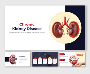 Slide deck on chronic kidney disease, with visuals for symptoms, risk factors, functions, and treatment insights.