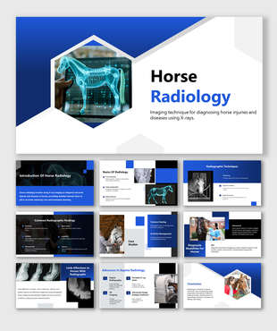 Horse skeletal X-ray slide deck images on screen, highlighting radiology techniques for diagnostics.