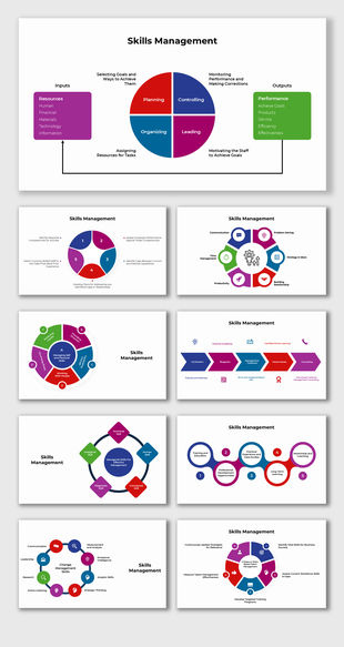 Skills Management visual showcasing resource inputs, strategic planning, performance outputs in a circular framework.