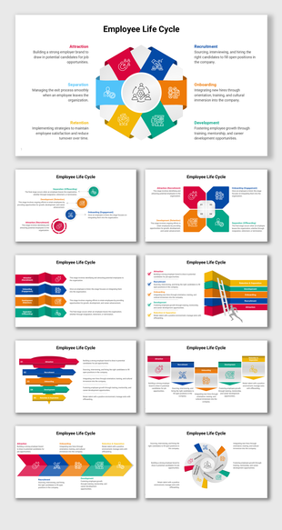 Employee lifecycle infographic depicting attraction, recruitment, onboarding, development, retention, and separation stages.