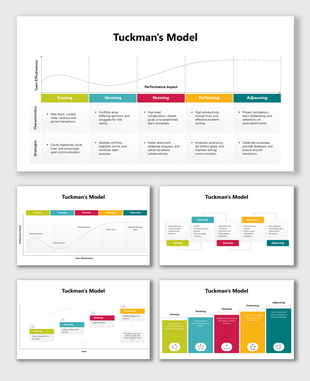 Tuckman's Model slides illustrating team development stages with colorful charts, diagrams, and placeholders for descriptions