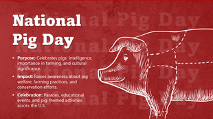 National Pig Day with pig illustration, red background, and text on pig welfare, farming, conservation, and celebrations.