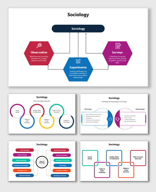 Sociology slides use hexagons, circles, and icons to explain methods, types, roles, values, and pros and cons in society.