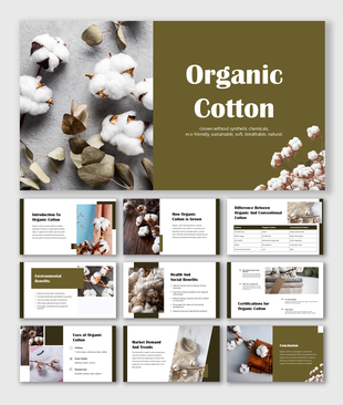 Organic Cotton Focuses on cotton plants, eco-friendly practices, and the benefits of sustainable, chemical-free farming.