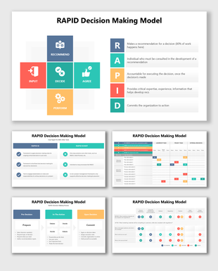 Rapid Decision Making Model using color-coded blocks, flow steps, role charts, and stakeholder responsibility matrix.