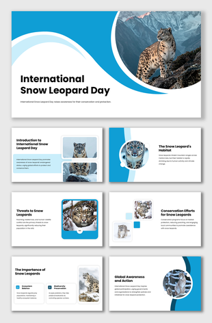 International Snow Leopard Day slides with snow leopard photos, blue-white themed layouts, facts on habitat, threat.