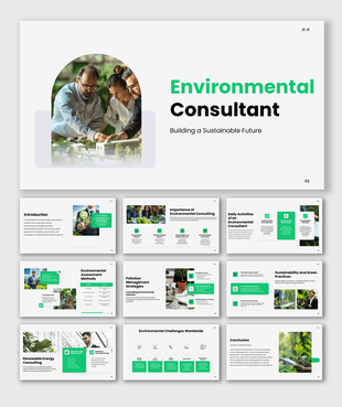 Environmental consultant presentation on sustainability, renewable energy, and pollution control.