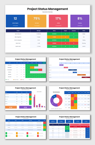 Project status management dashboard with KPIs, risk tracking, budgets, timelines, and reports.