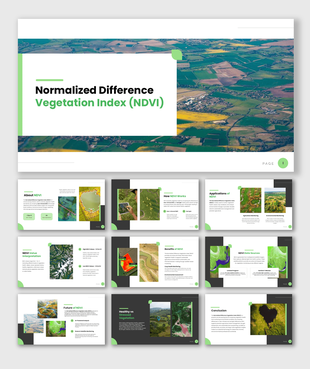 NDVI presentation covering vegetation analysis, remote sensing, crop monitoring, and land assessment.