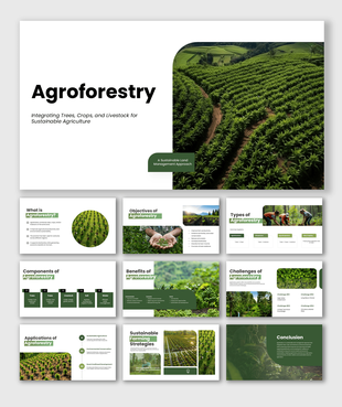 Agroforestry presentation covering sustainable farming, trees, crops, livestock, benefits, and applications.
