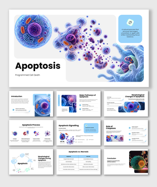 Apoptosis presentation covering programmed cell death, pathways, signaling, caspases, morphology, and necrosis.