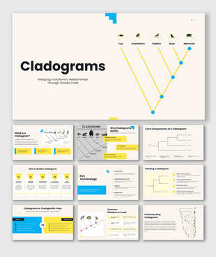Cladograms PPT explaining evolutionary relationships, shared traits, terminology, construction, and phylogenetic trees.