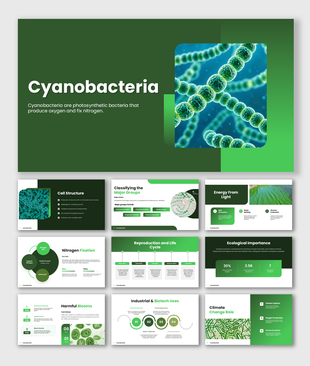 Explore cyanobacteria, their cell structure, nitrogen fixation, photosynthesis, ecology, and biotech uses.
