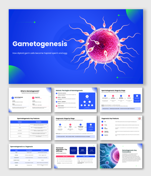 Explore gametogenesis, meiosis, spermatogenesis, oogenesis, hormonal regulation, and gamete formation.
