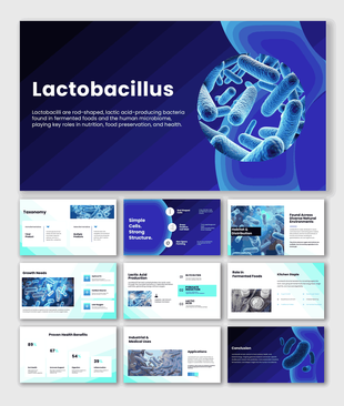 Lactobacillus bacteria shown with slides covering fermentation, health benefits, growth, and industrial uses.