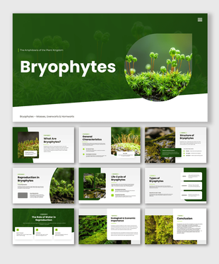 Bryophytes presentation covering mosses, liverworts, hornworts, structure, reproduction, and life cycle.