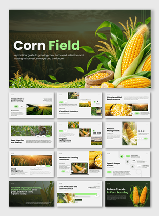 Corn Field PPT cover showing corn growth stages, soil requirements, and modern farming techniques.