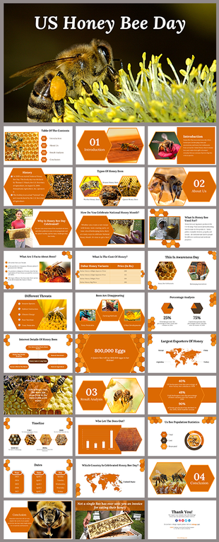 US Honey Bee day presentation featuring slides on bee types, honey production, threats, and awareness.