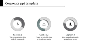Corporate template featuring three circular icons dollar sign, chart, and user icon with captions areas beneath.