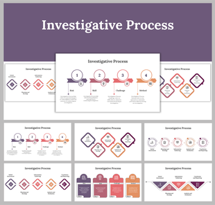 Overview of the investigative process with four main stages presented in circular icons from risk to method.