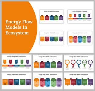 Slide deck showing ecosystem energy flow models with color coded boxes and arrows to represent ecological roles and levels.