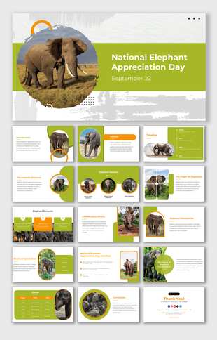 Slide deck featuring images of elephants in grassy field, highlighting species, behavior, and efforts, in green theme.