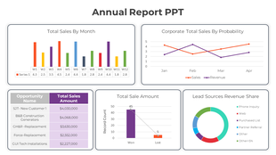 Charts and graphs displaying total sales, revenue, and lead sources in an annual report presentation slide.