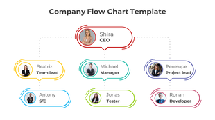 Multicolor flowchart showing CEO at the top and team members below in rounded boxes with dotted connections.
