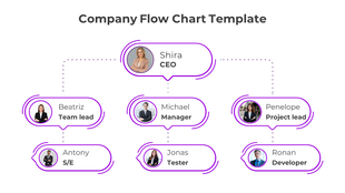 Company flowchart showing leadership structure from the CEO to team leaders, managers, and employees in three levels.