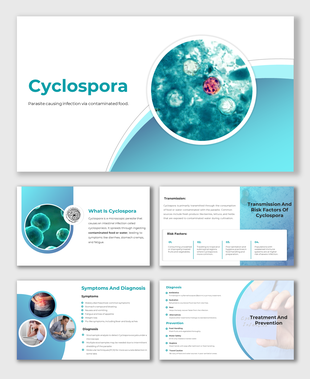 Microscopic image of the Cyclospora parasite PPT slides causing infection via contaminated food or water with descriptions.
