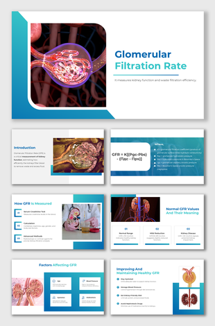 Blue-themed Glomerular Filtration Rate slides showing kidney function, GFR ranges, and health tips with visuals.